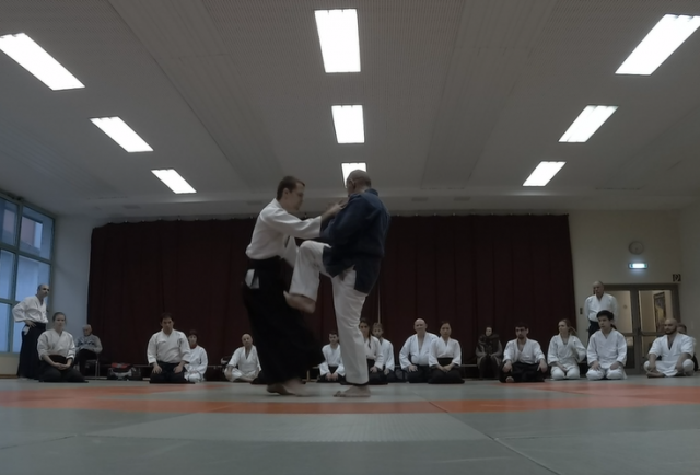 Nebi Vural Frankfurt Seminar February 2019