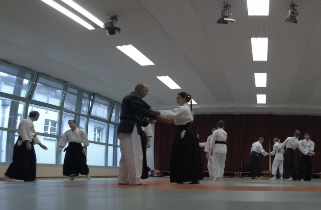 Nebi Vural Frankfurt Seminar February 2019