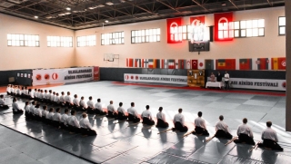 2019 International Aikido Festival