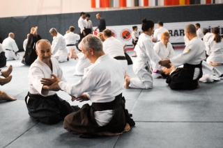 2019 International Aikido Festival