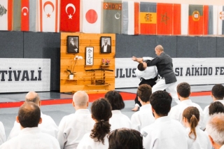 2019 International Aikido Festival