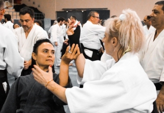 2019 International Aikido Festival