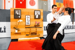 2019 International Aikido Festival