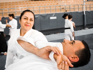 2019 International Aikido Festival