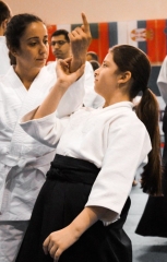 2019 International Aikido Festival