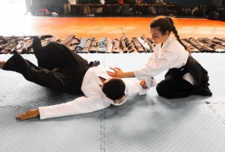 2019 International Aikido Festival