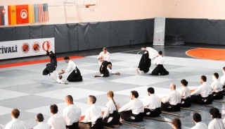 2019 International Aikido Festival