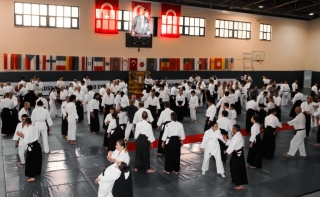 2019 International Aikido Festival