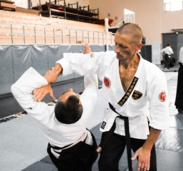 2019 International Aikido Festival