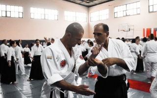 2019 International Aikido Festival