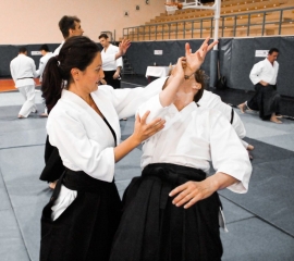 2019 International Aikido Festival