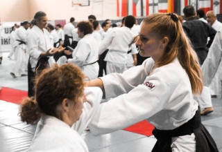 2019 International Aikido Festival