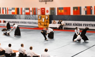 2019 International Aikido Festival