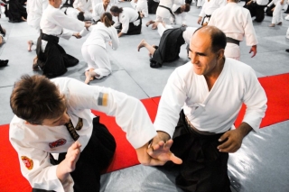 2019 International Aikido Festival