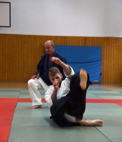 Nebi Vural Frankfurt Seminar June 2019