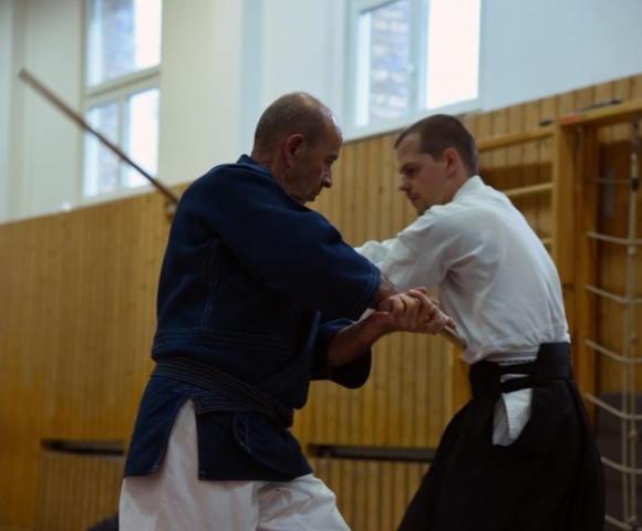 Nebi Vural Frankfurt Seminar June 2019