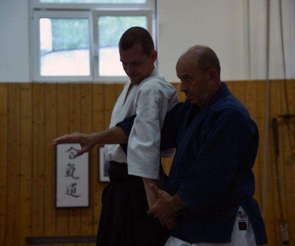 Nebi Vural Frankfurt Seminar June 2019