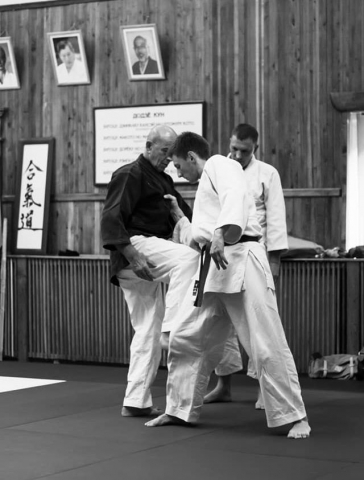 2019 Nebi Vural Kropyvnytskyi Aikido Camp