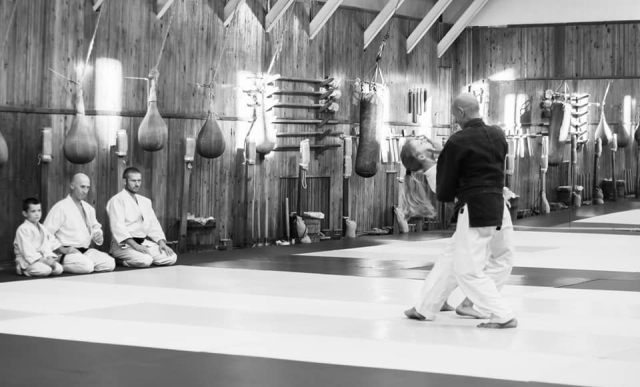 2019 Nebi Vural Kropyvnytskyi Aikido Camp